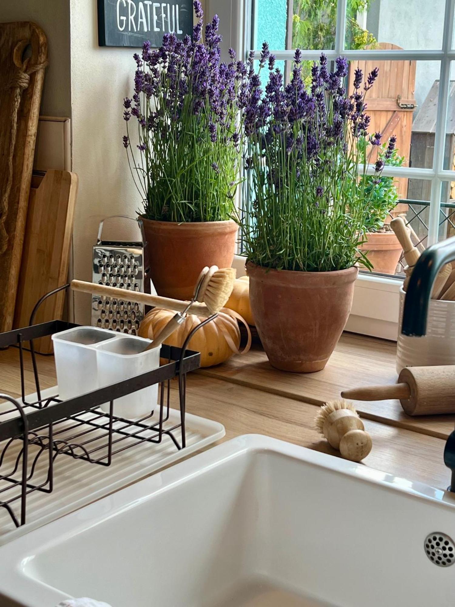 Orchardhouse Farmhouse, Wellness Chrast  Экстерьер фото